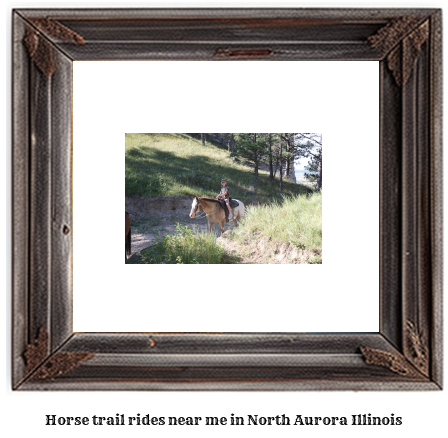 horse trail rides near me in North Aurora, Illinois